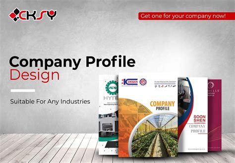 DIGITAL PAVILION LLC Company Profile .
